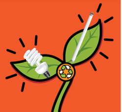 慳電膽及光管回收計劃相關圖片