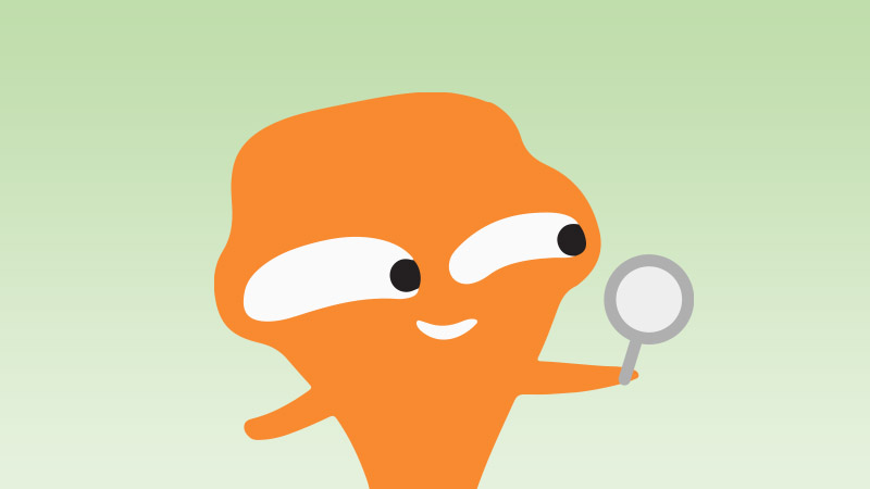 School Recyclables Collection Services